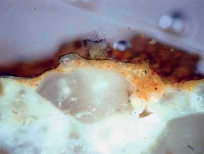 Die freskale Maltechnik wurde durch eine naturwissenschaftliche Untersuchung nachgewiesen